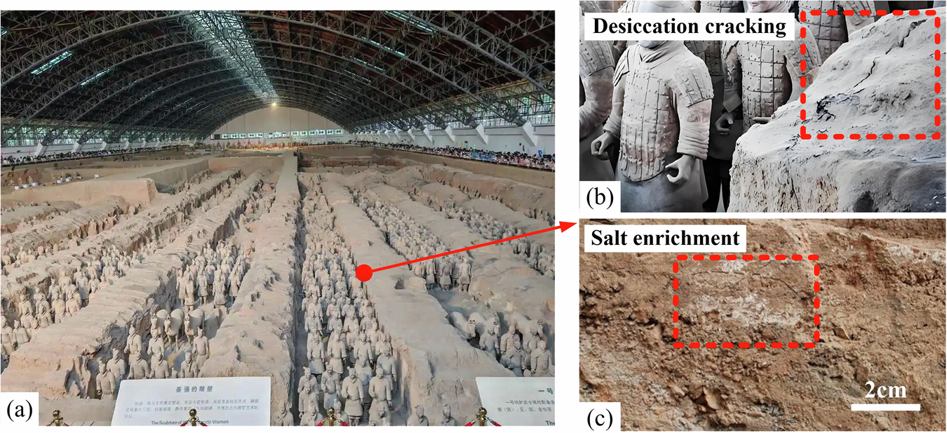 Fig. 1: Earthen site at the Emperor Qin’s Mausoleum Site Museum and typical deterioration phenomena.