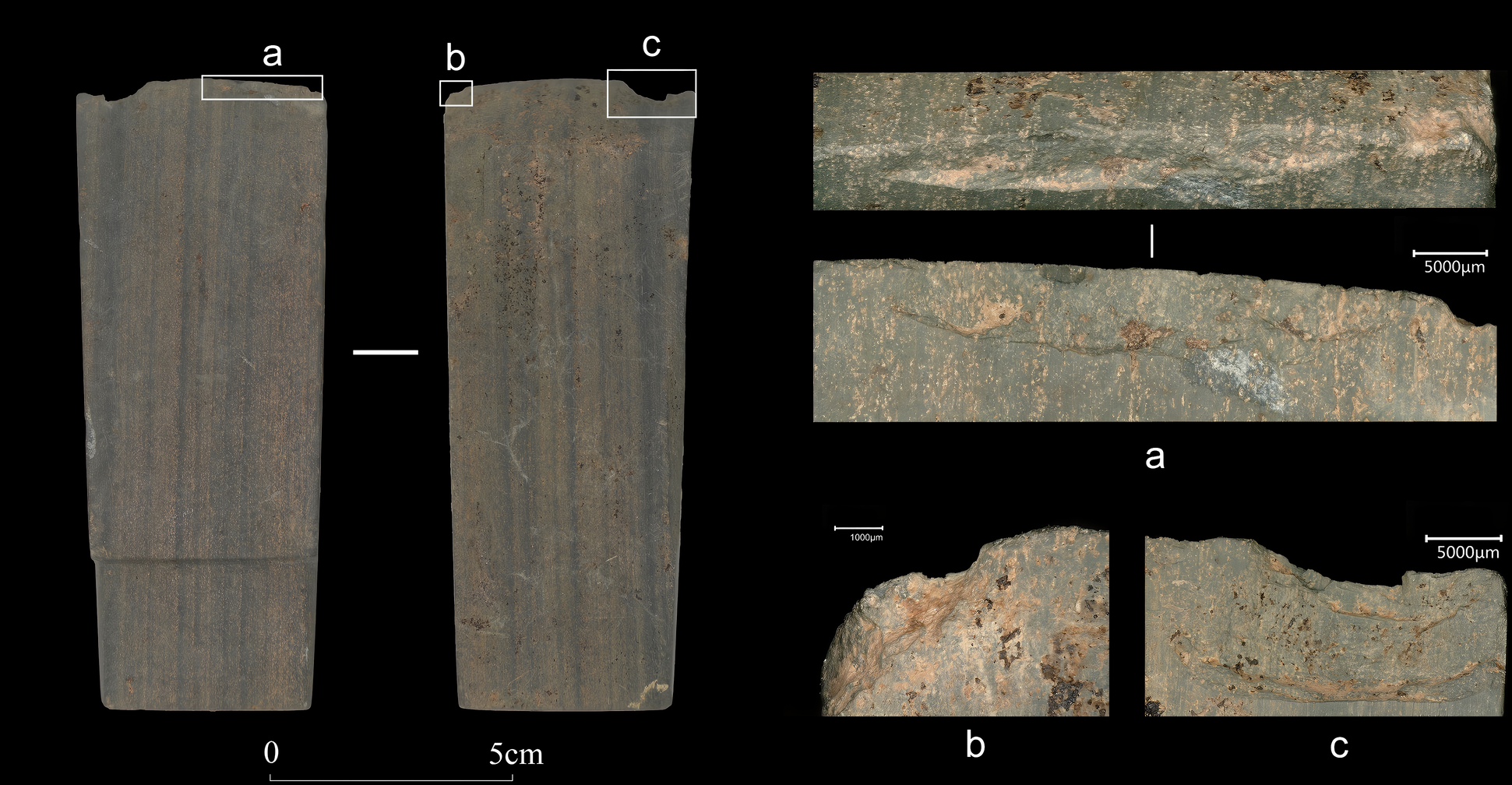 Fig. 11: Use-wear on stone adze No. 2016SZT29③:2.