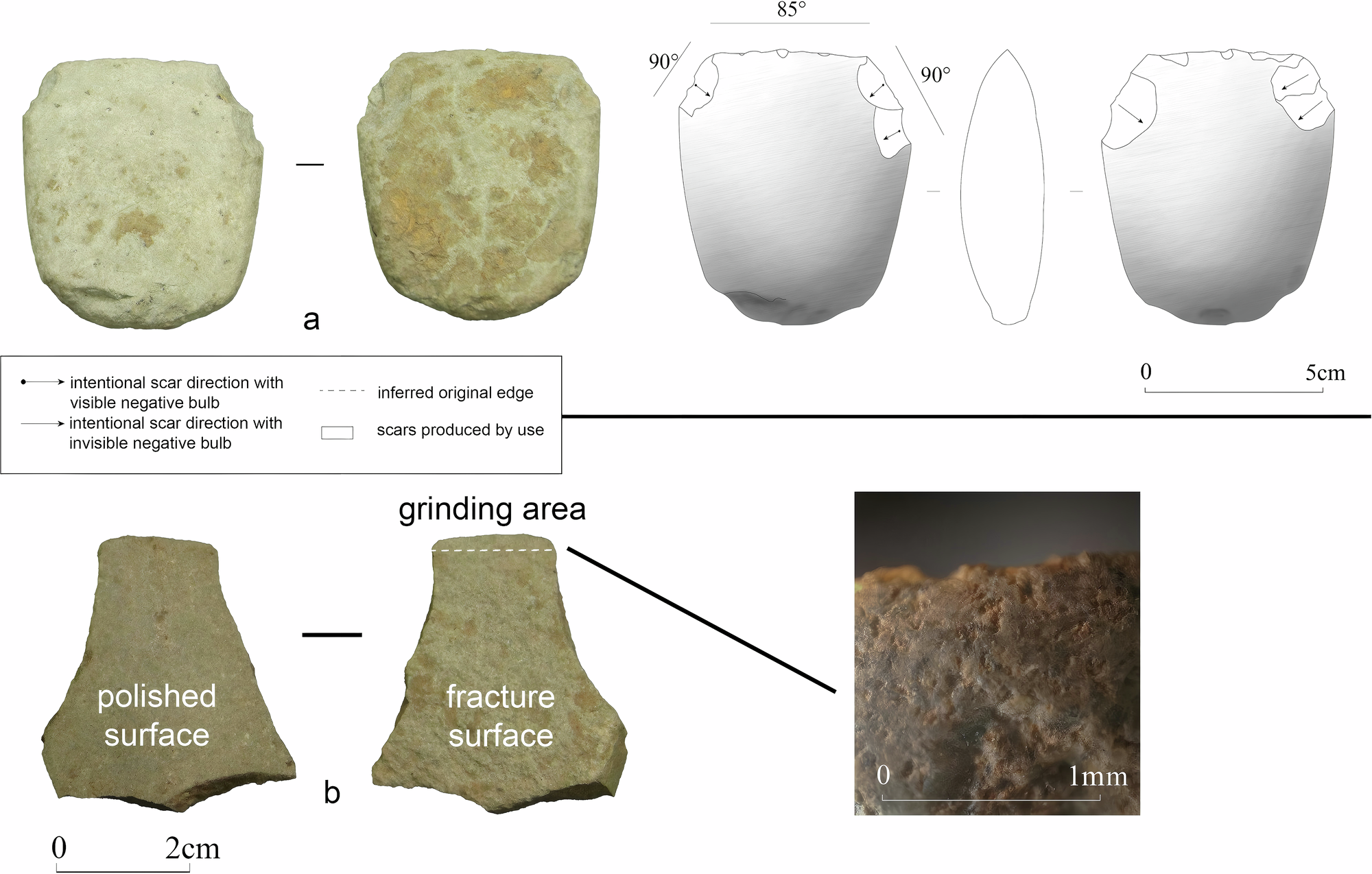 Fig. 5: Modified tool and flake.