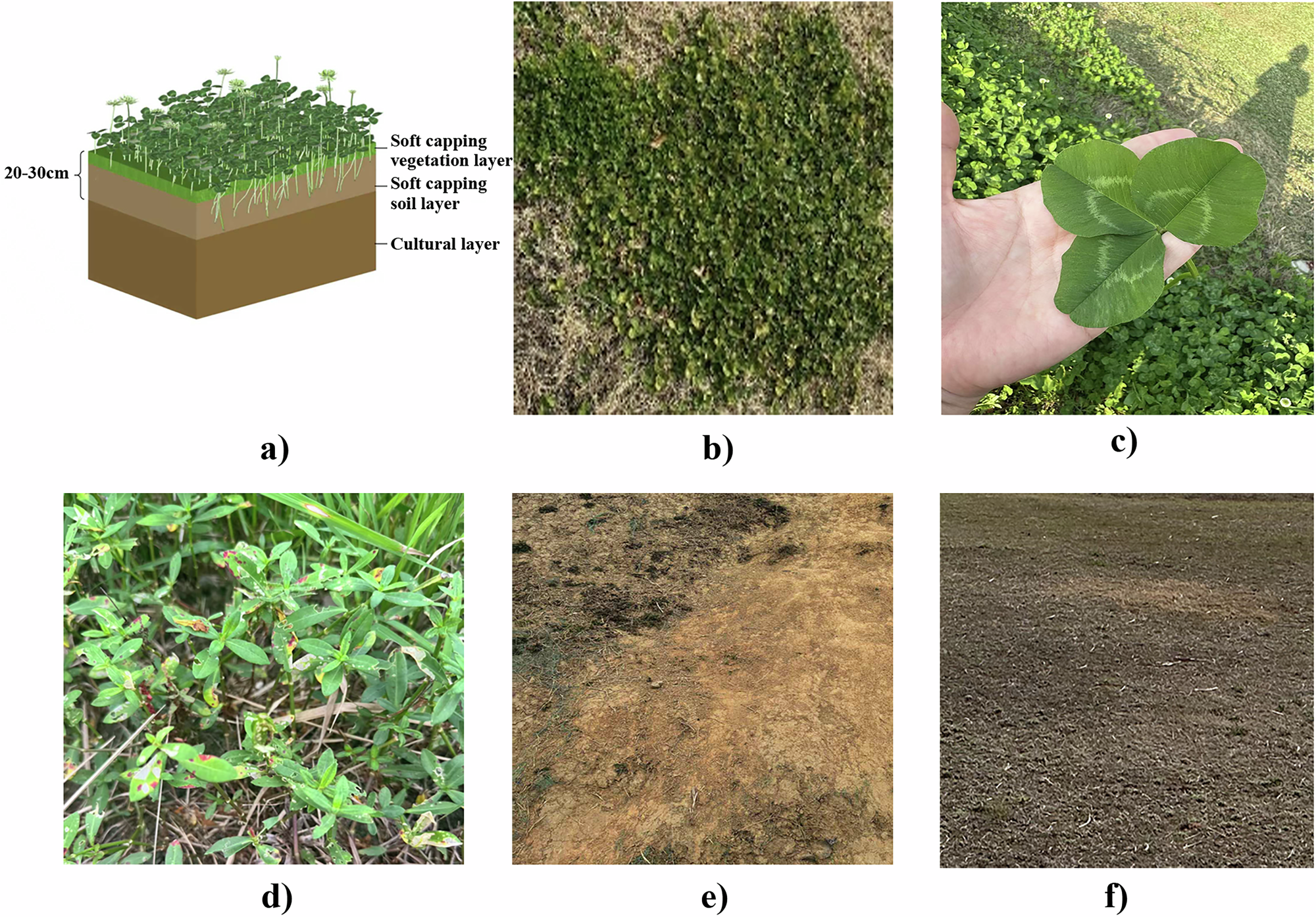 Fig. 2: Diagram and current status of the soft capping system at Damojiao Hill, Liangzhu archaeological site.