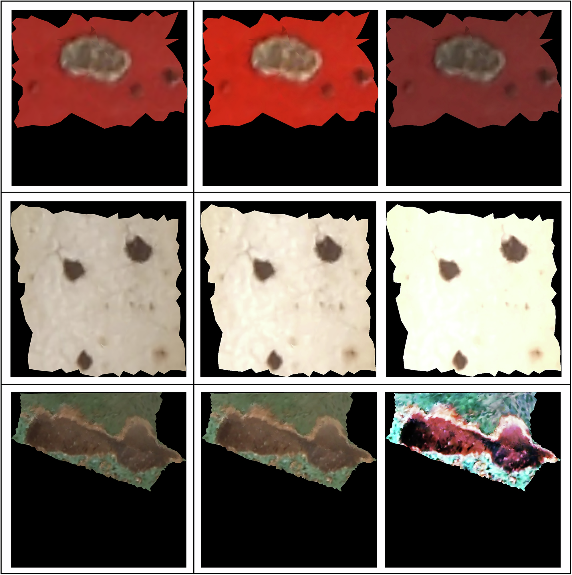 Fig. 21: Visualization of 2D data augmentation results.