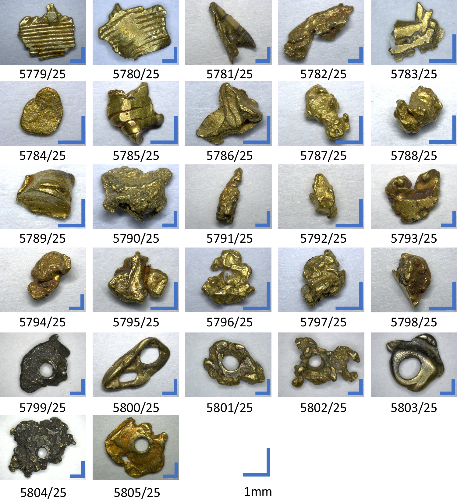 Fig. 4: All samples analyzed in this study.