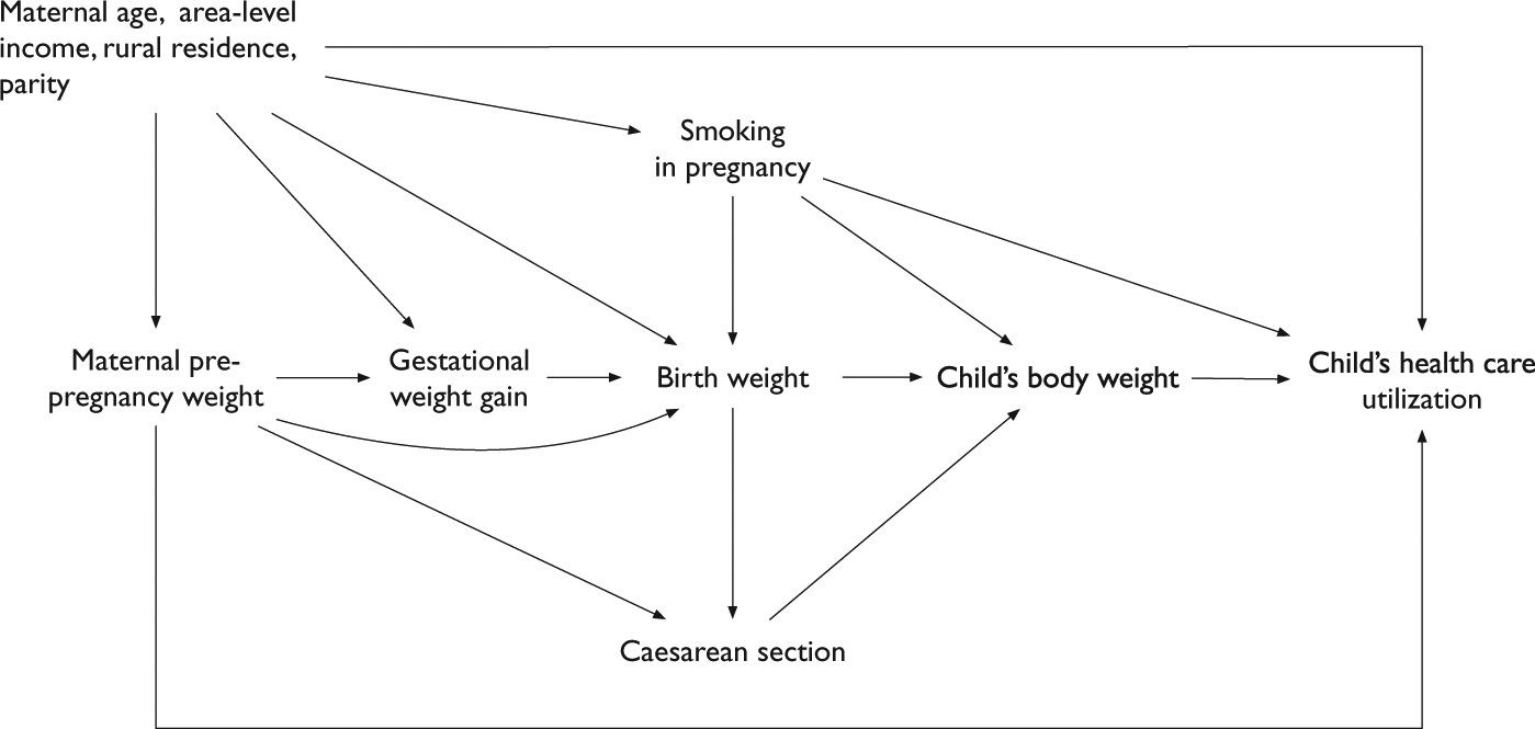 Maternal Pre Pregnancy Obesity And Health Care Utilization And