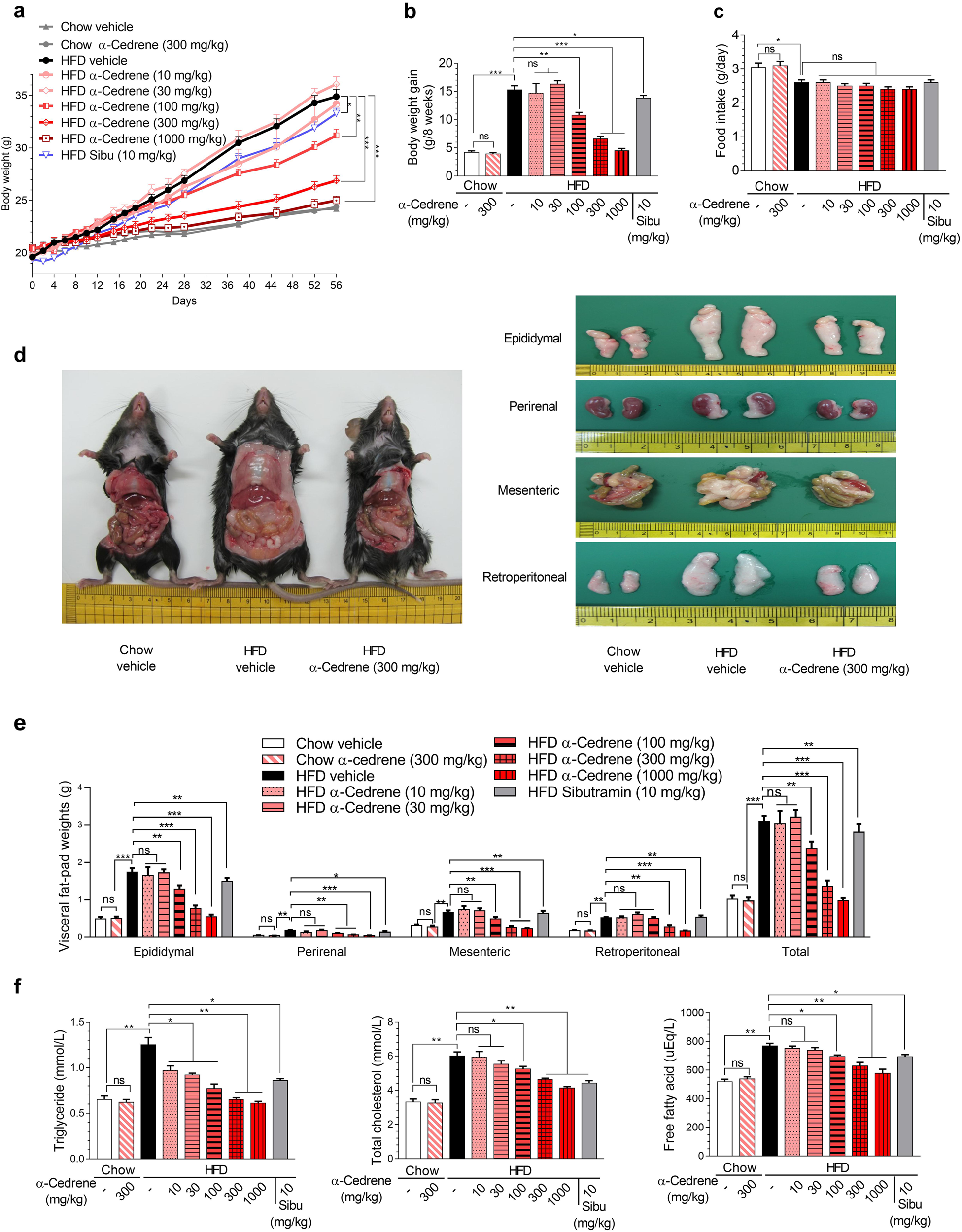 α-Cedrene protects rodents from high-fat diet-induced adiposity ...