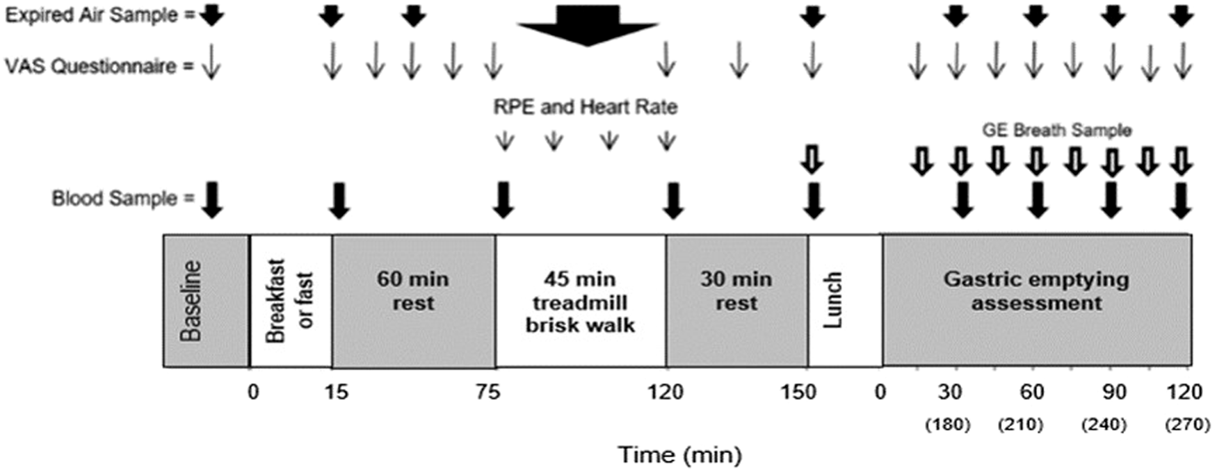 The Effect Of Brisk Walking In The Fasted Versus Fed State
