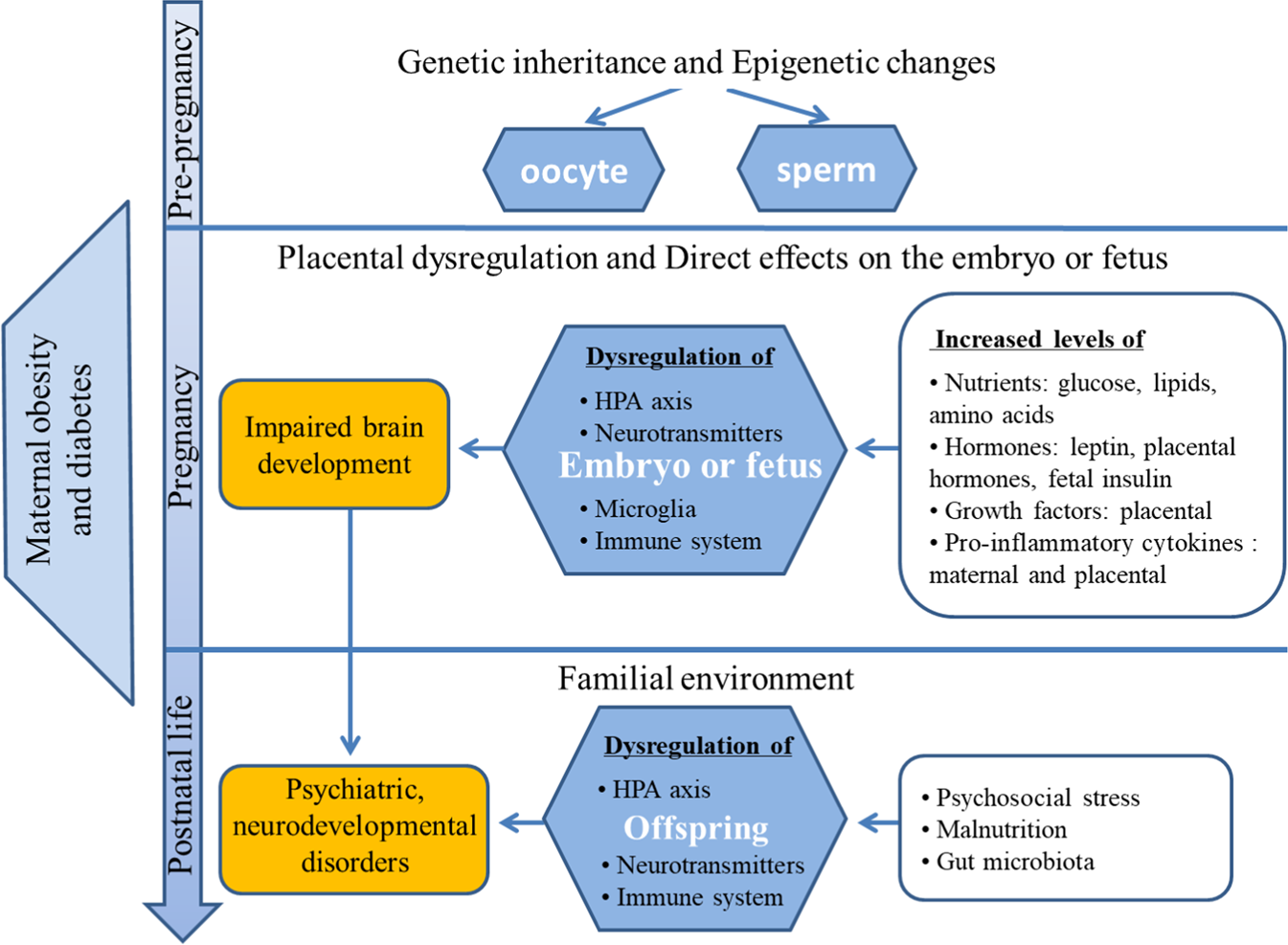 diabetes obesity metabolism journal impact factor a reumás sokízületi gyulladás és a cukorbetegség kezelésében