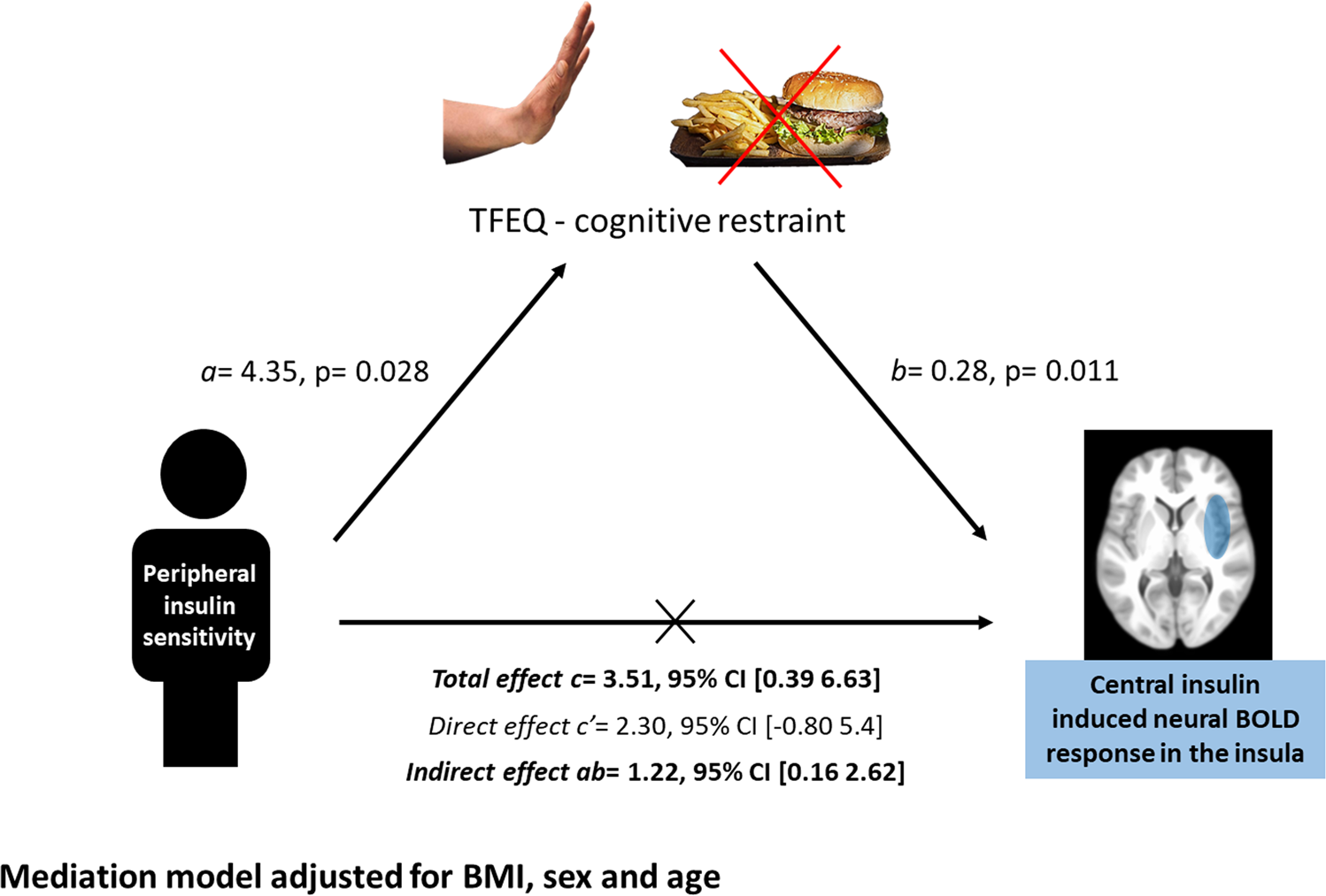 Fig. 4: Cognitive restraint as mediator between peripheral and central insulin action.