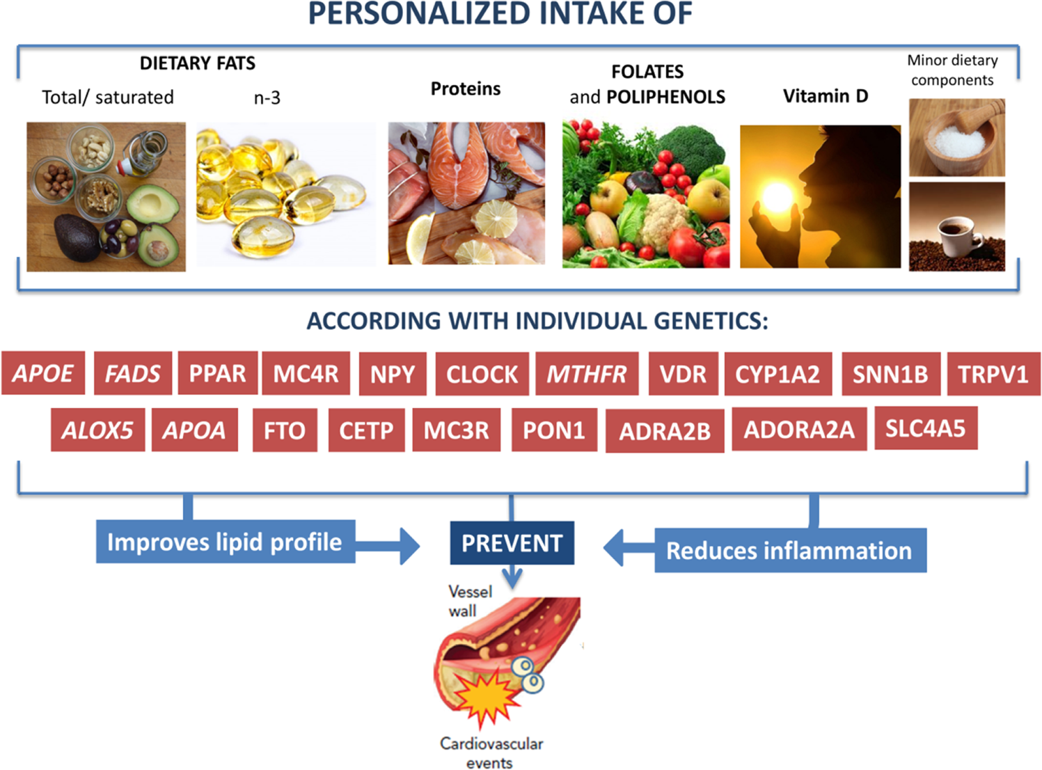 Genetics, Nutrition, and Personalized Health