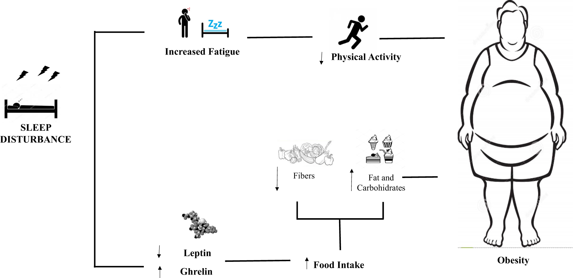 Sleep disturbances: one of the culprits of obesity-related cardiovascular  risk? | International Journal of Obesity Supplements