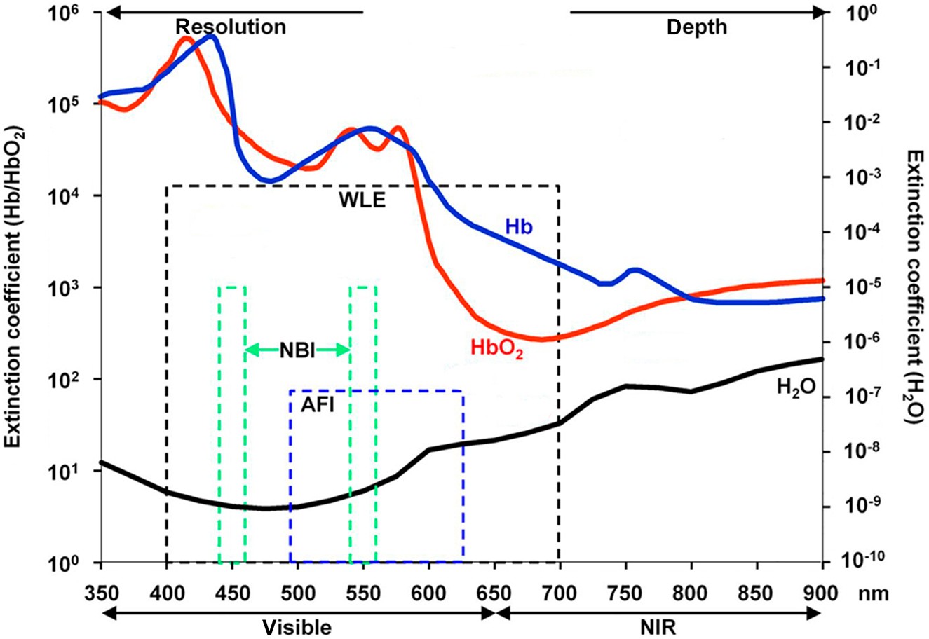 Us20170028214a1 Systems And Methods For Phototherapeutic Modulation Of Nitric Oxide Google Patents