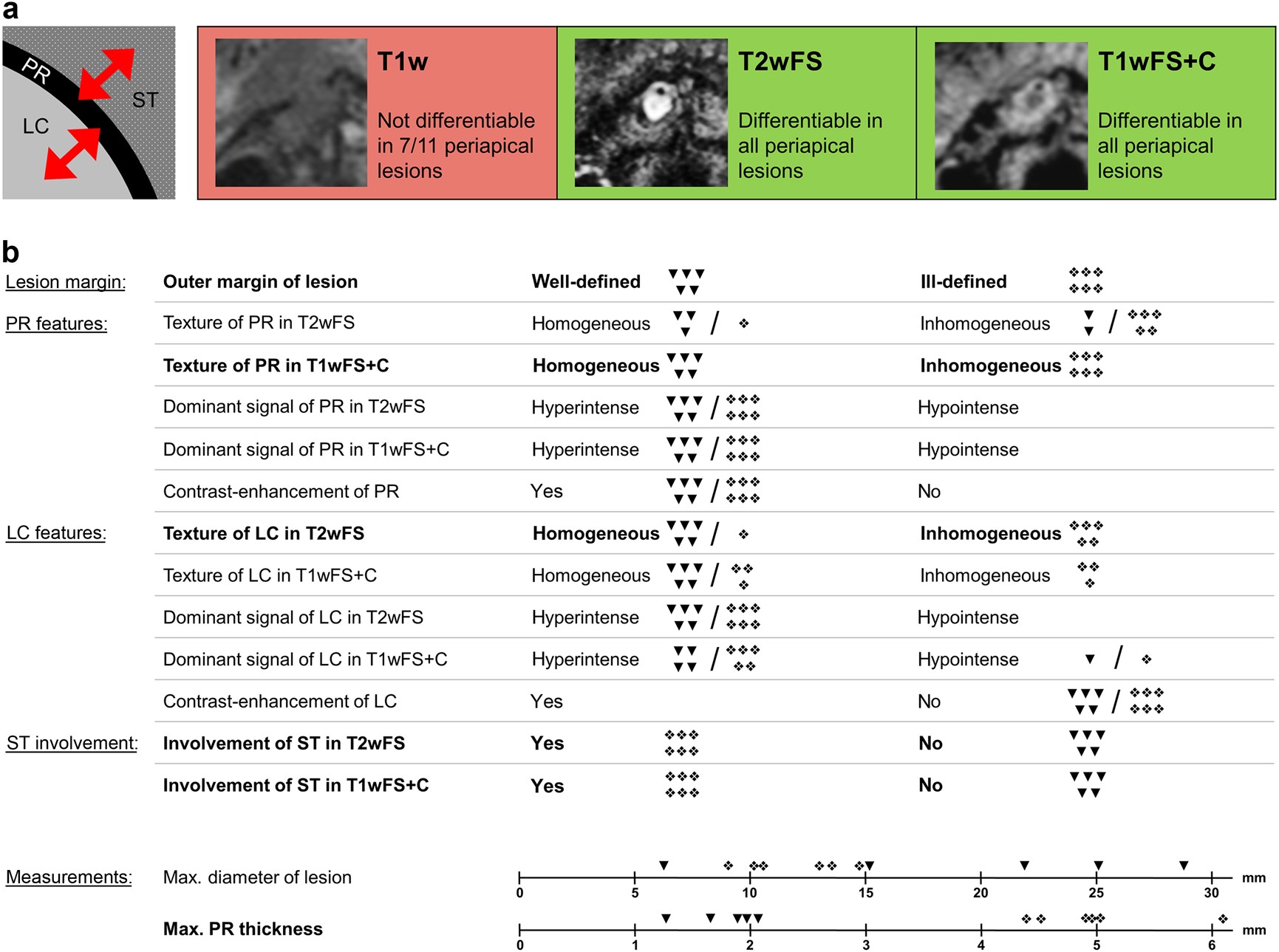 Différence Entre Cône Morse 1 Et 2 Differentiation of periapical granulomas and cysts by using dental MRI: a  pilot study | International Journal of Oral Science