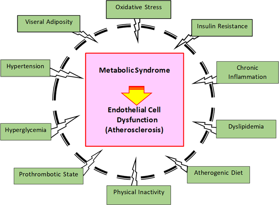 diabetes metabolic syndrome journal impact factor)