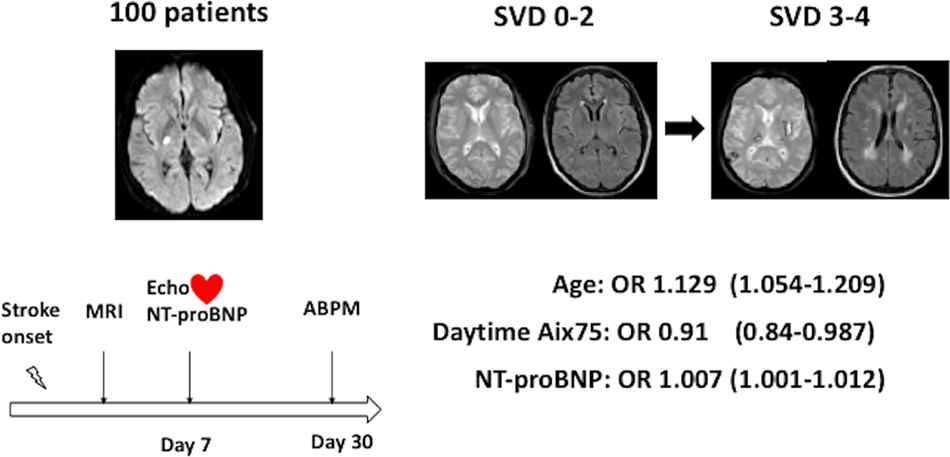 The NT Brain