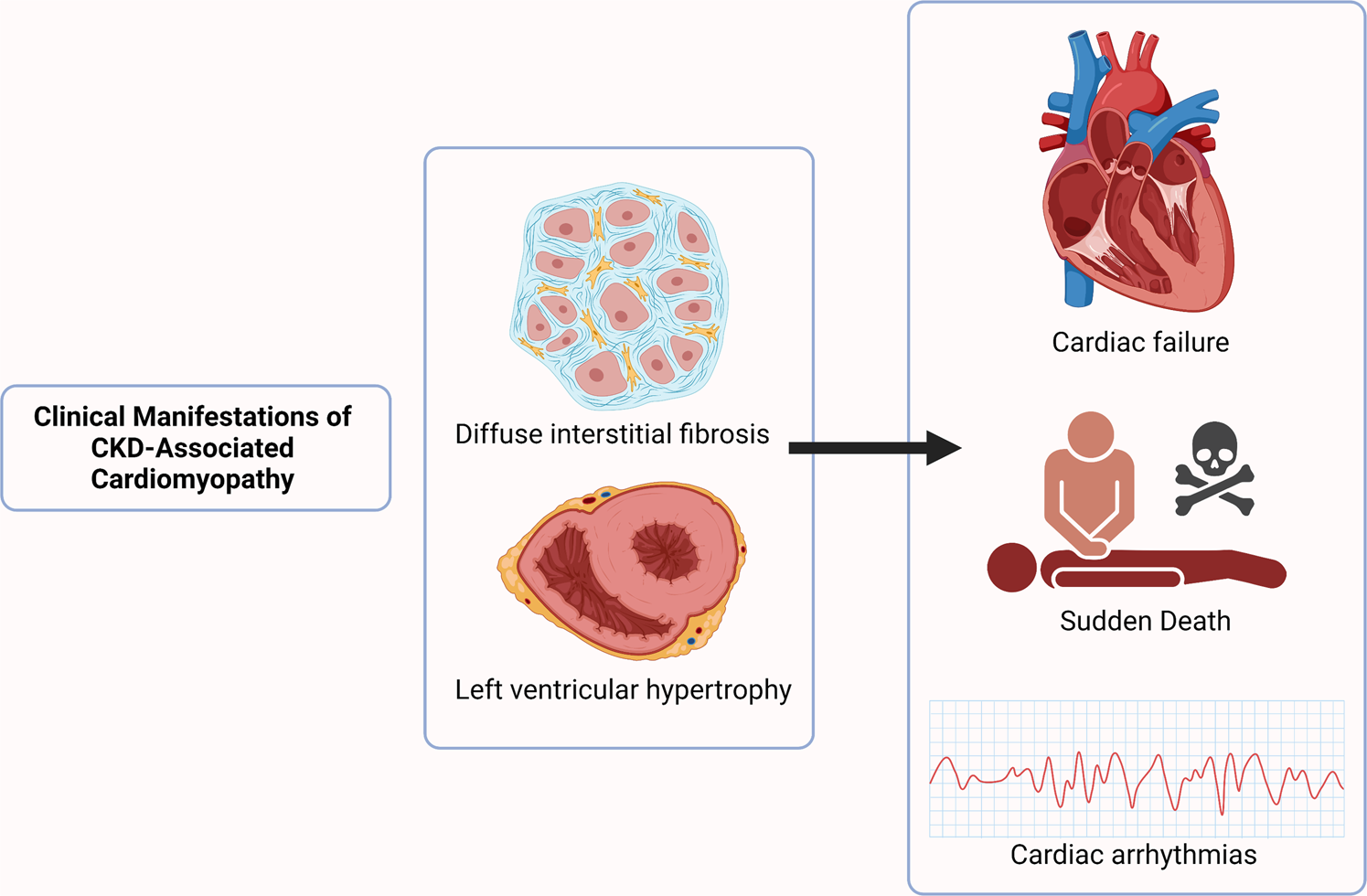 Role of strain echocardiography in patients with hypertension, Clinical  Hypertension