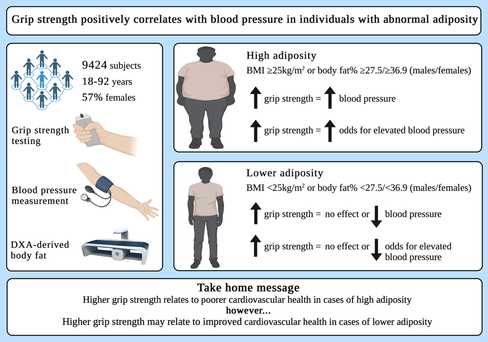Grip strength positively correlates with blood pressure in individuals with  abnormal adiposity | Journal of Human Hypertension