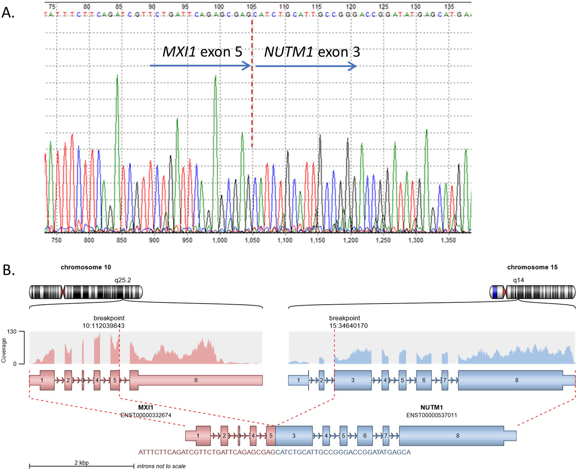 Fig. 2: Identification of the MXI1-NUTM1 fusion.