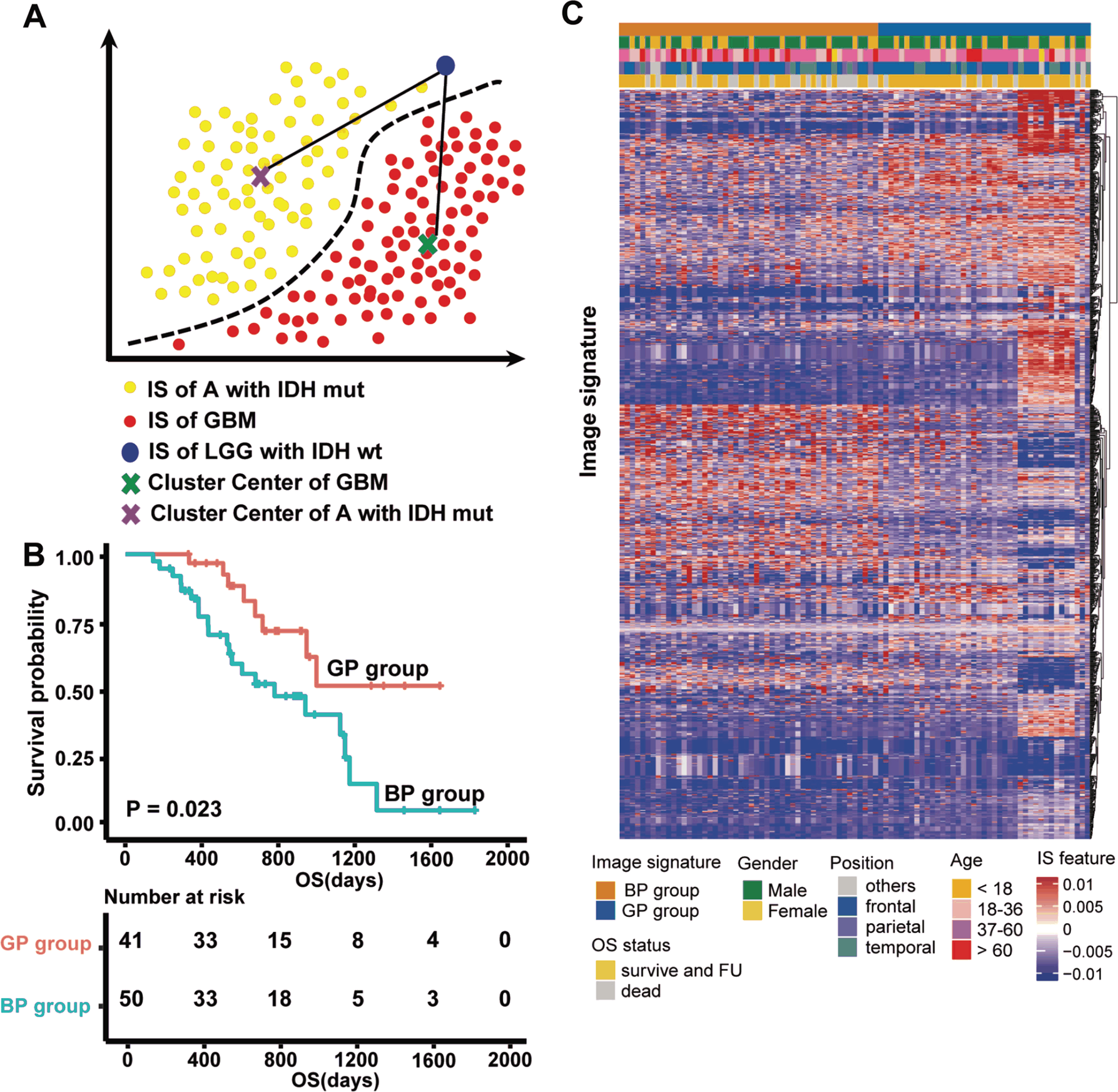 Fig. 3: Illustration of prognostic stratification of IDH1/2 wild-type LGG.