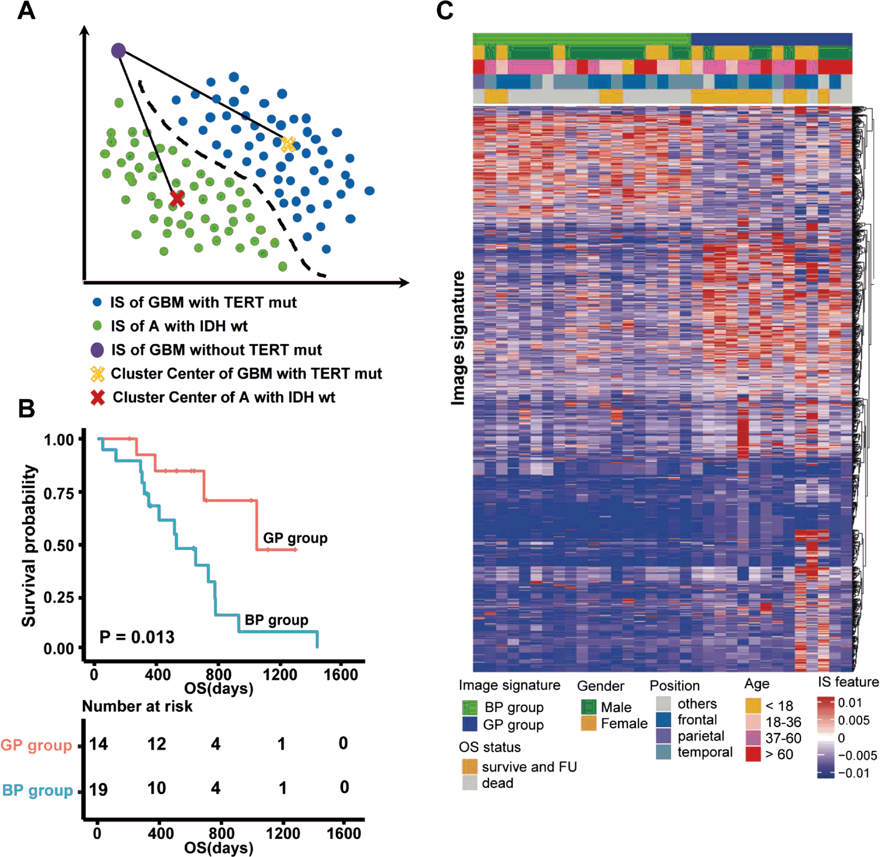 Fig. 4: Illustration of prognostic stratification of triple-negative GBM.