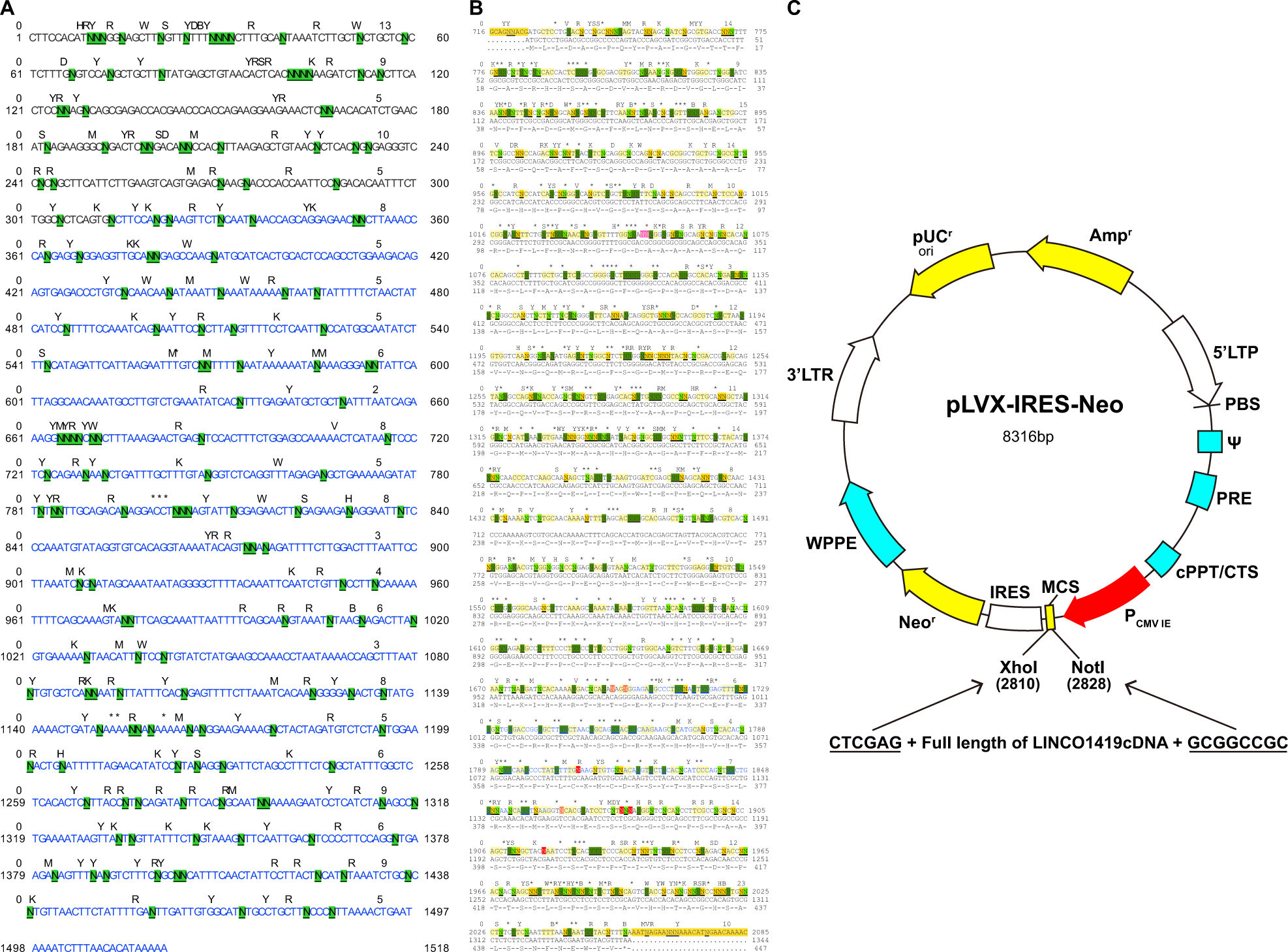 Linc Mediated Epigenetic Silencing Of Zic1 Promotes Metastasis In Hepatocellular Carcinoma Through The Pi3k Akt Signaling Pathway Laboratory Investigation