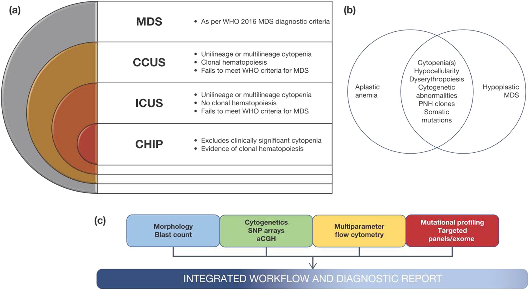Diagnostic algorithm for lower-risk myelodysplastic syndromes | Leukemia
