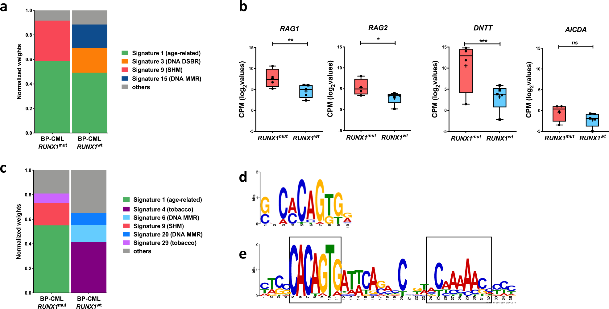 Fig. 2: Cancer signatures and mutation loads of RUNX1mut patients highlight the contribution of AID/RAG pathway to mutagenesis.
