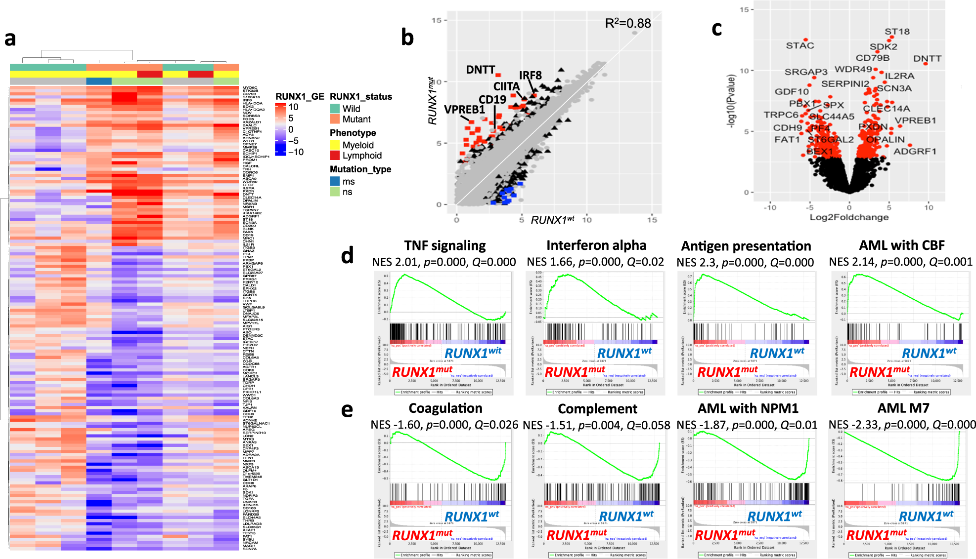 Fig. 3: Transcriptional profiling of BP-CML patients demonstrate upregulation of stem cell and lymphoid markers, interferon signaling, and dysregulation of immune-related pathways in RUNX1mut BP-CML patients.