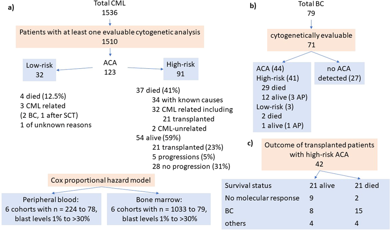 High Risk Additional Chromosomal Abnormalities At Low Blast Counts Herald Death By Cml Leukemia