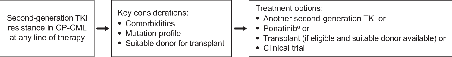 Fig. 1: Considerations and treatment options after second-generation TKI resistance.