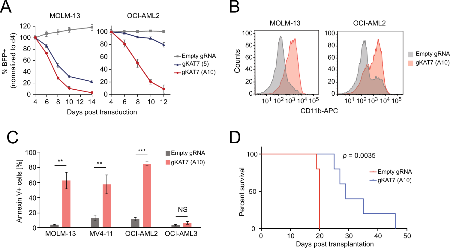 KAT7 is a genetic vulnerability of acute myeloid leukemias driven by MLL  rearrangements | Leukemia