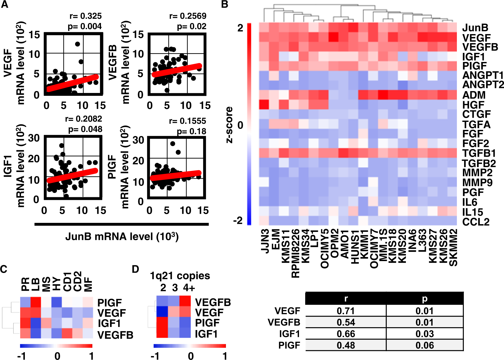 JunB is a key regulator of multiple myeloma bone marrow ...