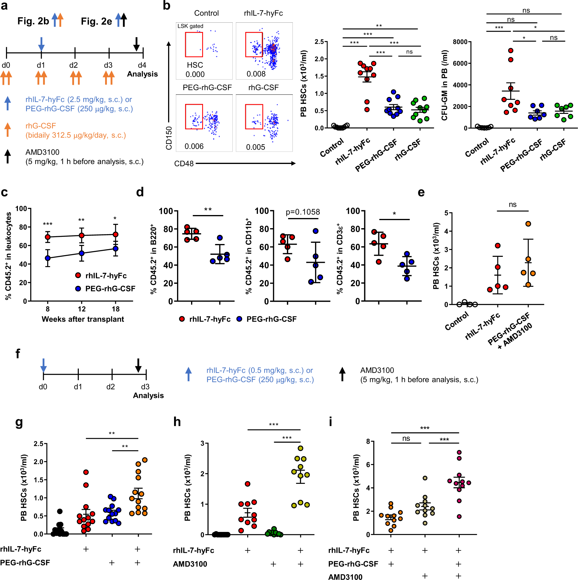 Fig. 2: rhIL-7-hyFc has a superior function for HSC mobilization than G-CSF and synergizes with G-CSF and AMD3100.