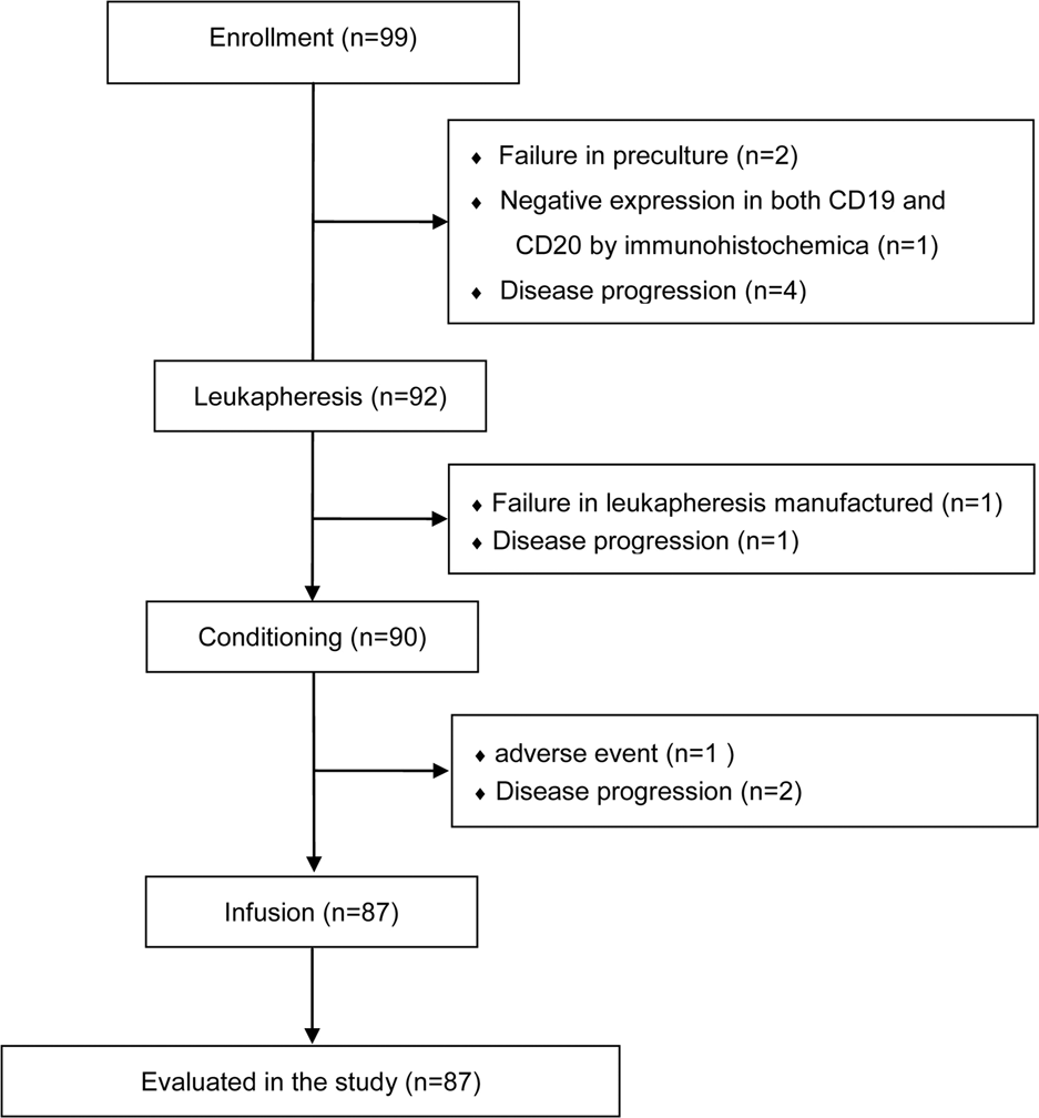 Fig. 1: CONSORT flow diagram.
