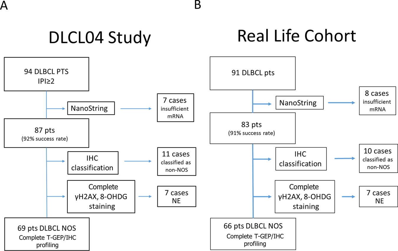 Dual Targeting Of The Dna Damage Response Pathway And l 2 In Diffuse Large B Cell Lymphoma Leukemia