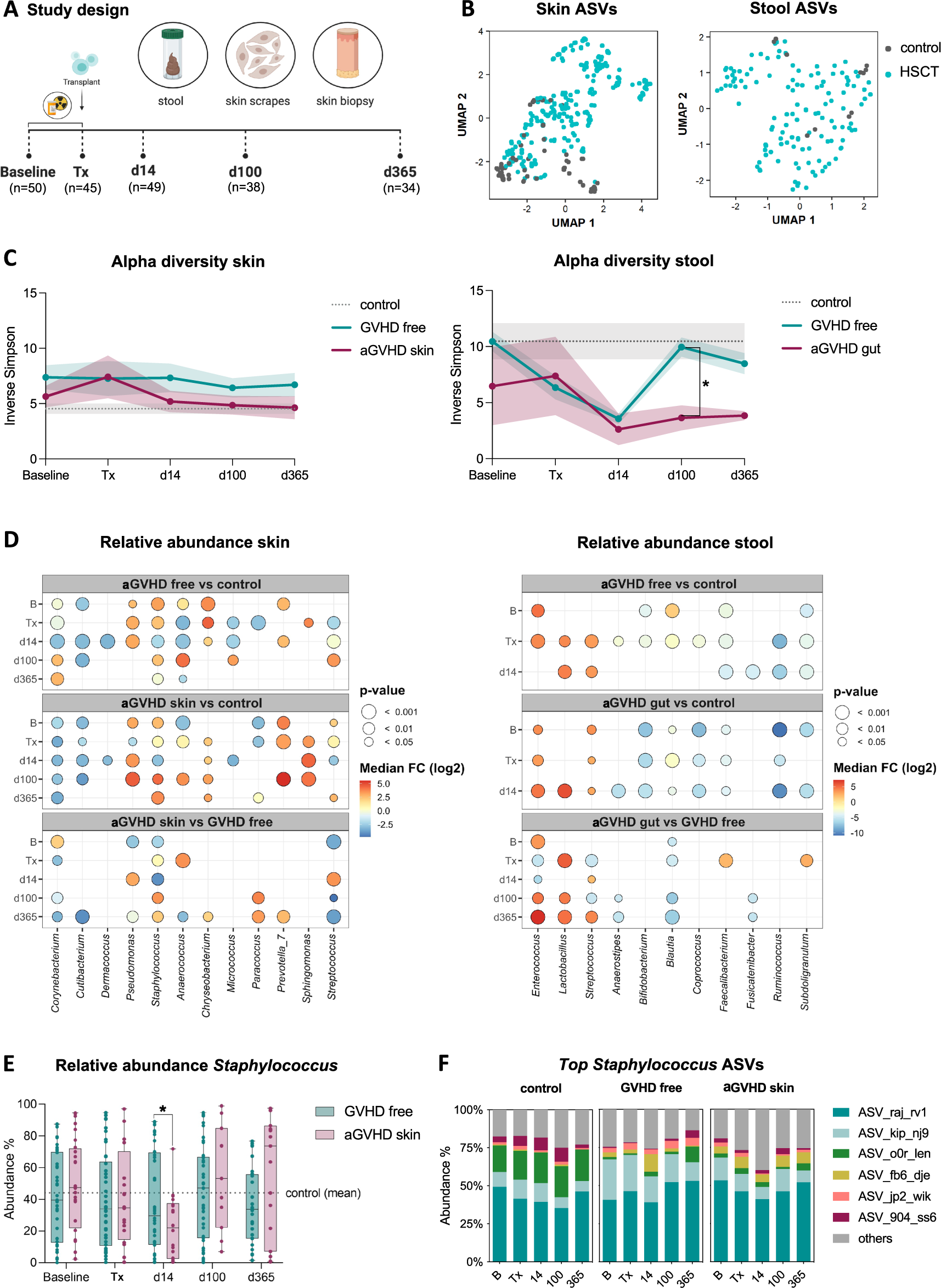 Disturbances in microbial skin recolonization and cutaneous immune response  following allogeneic stem cell transfer | Leukemia