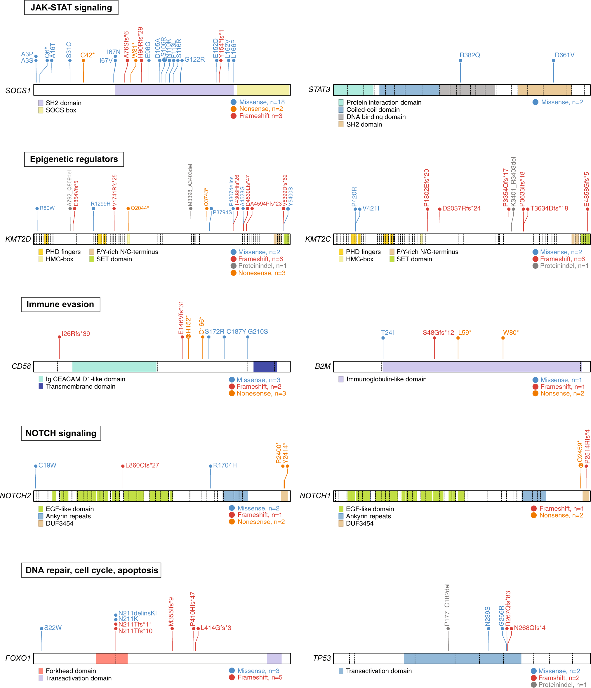 Fig. 2: Recurrent mutations on protein level.