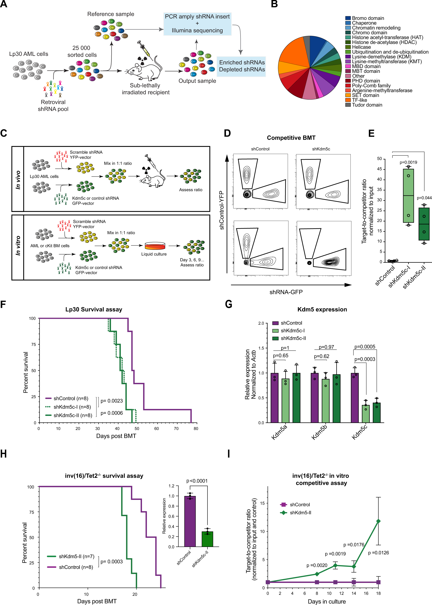 Fig. 1: Kdm5c-knockdown is associated with a competitive advantage and decreased latency in AML.