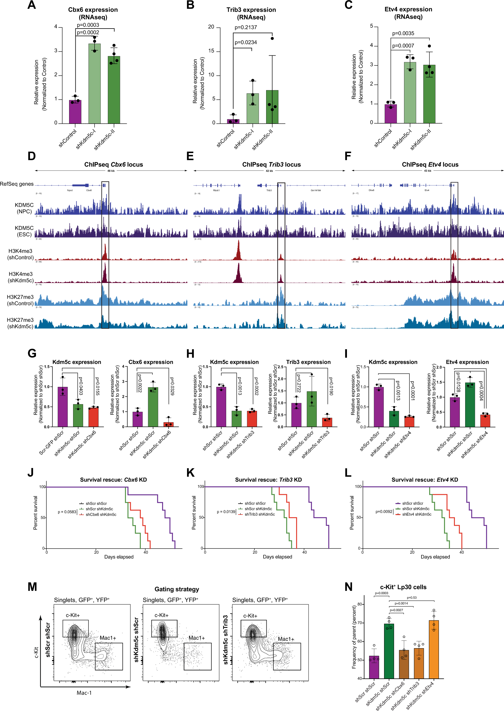 Fig. 5: Direct and indirect downstream mediators facilitate the Kdm5c-KD phenotype.