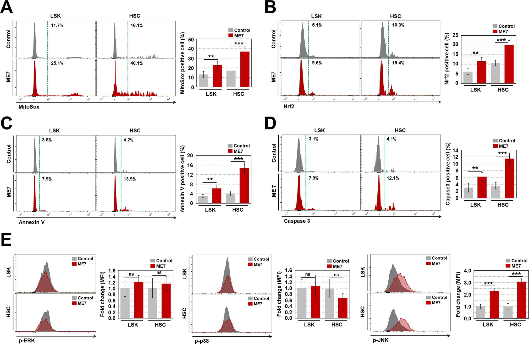 Fig. 3: ME7 infection causes apoptotic cell death in PrPC-positive HSPCs.