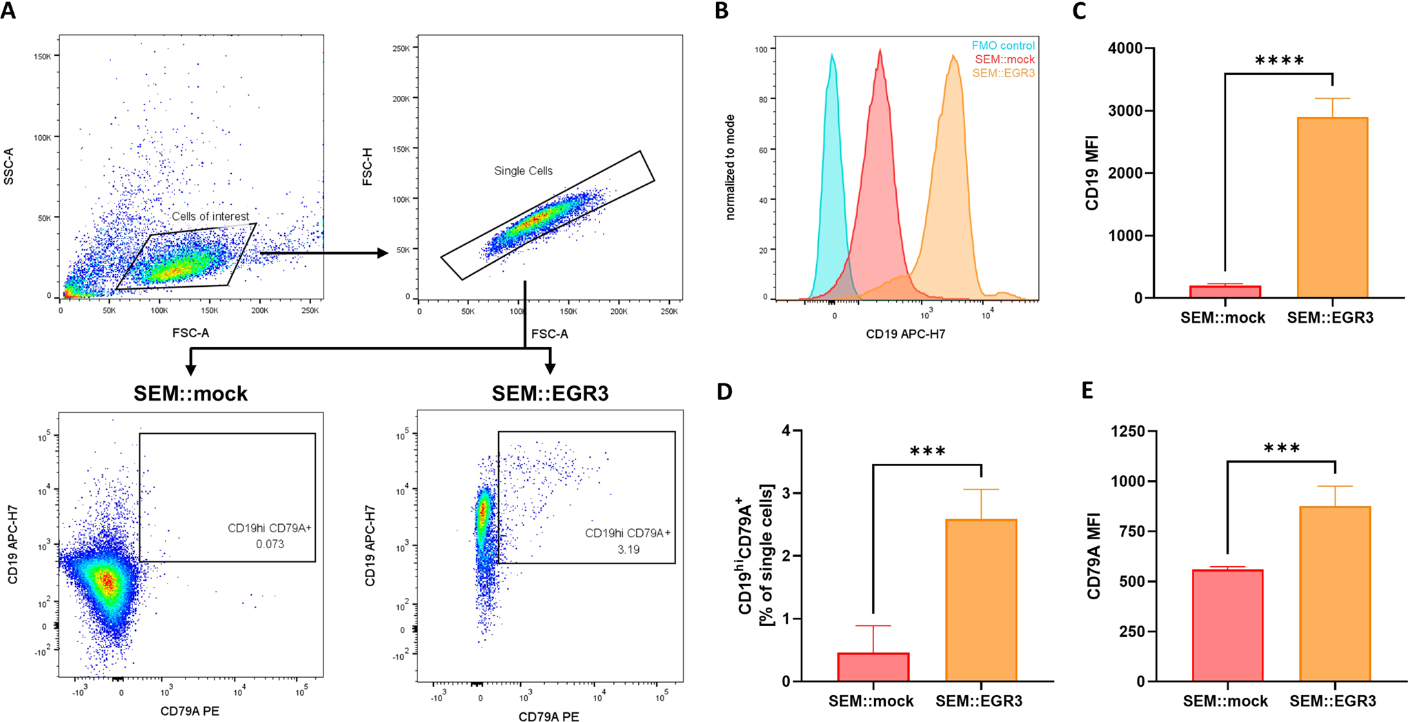 Fig. 2: Flow cytometric analysis of SEM::EGR3 and SEM::mock.