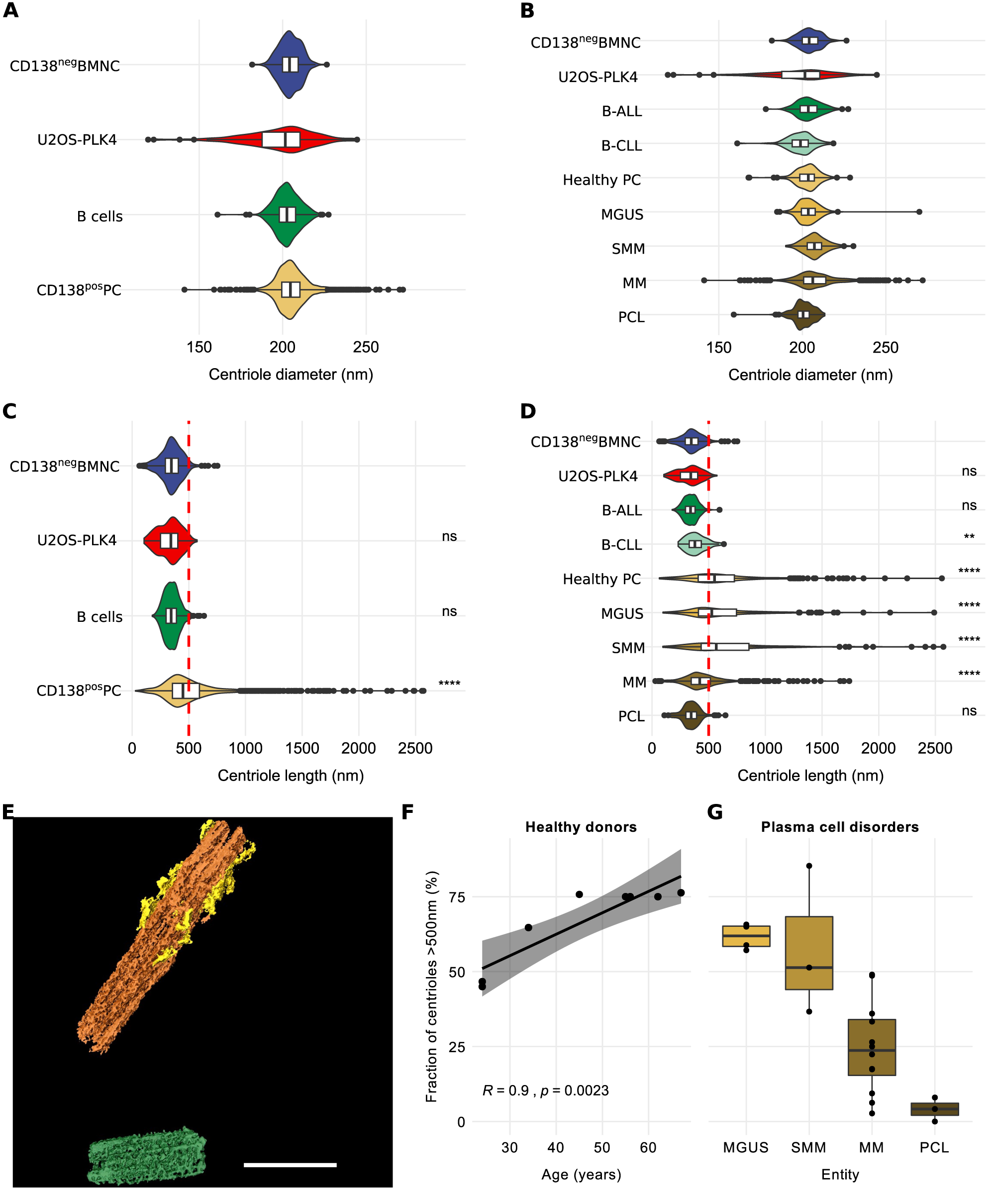 Fig. 1: Over-elongation of centrioles increases with age in human plasma cells and decreases with increasingly aggressive stages of plasma cell disorders.
