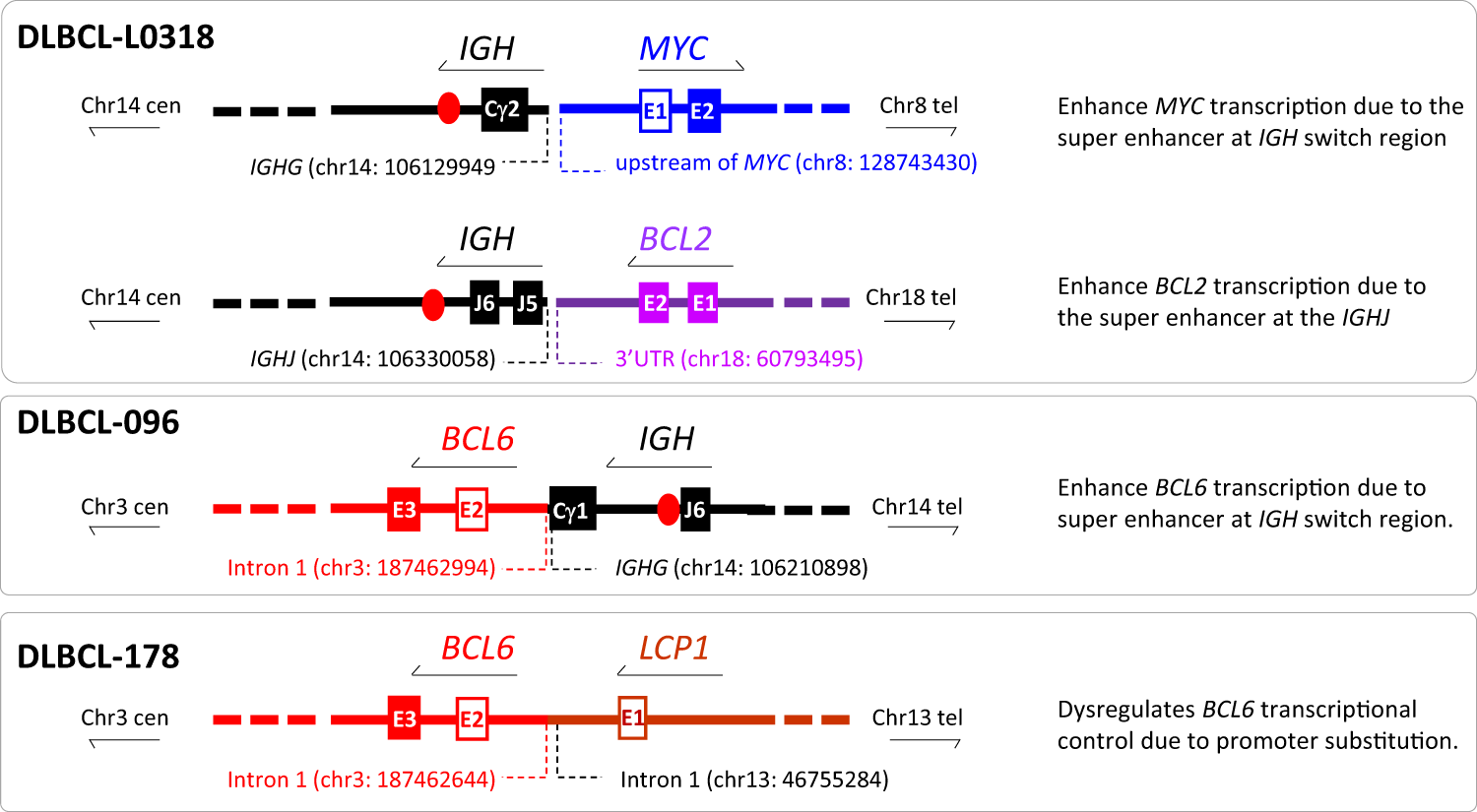 Fig. 7: MYC translocation with IGH or novel partner confers genomic configuration that activates MYC transcription.