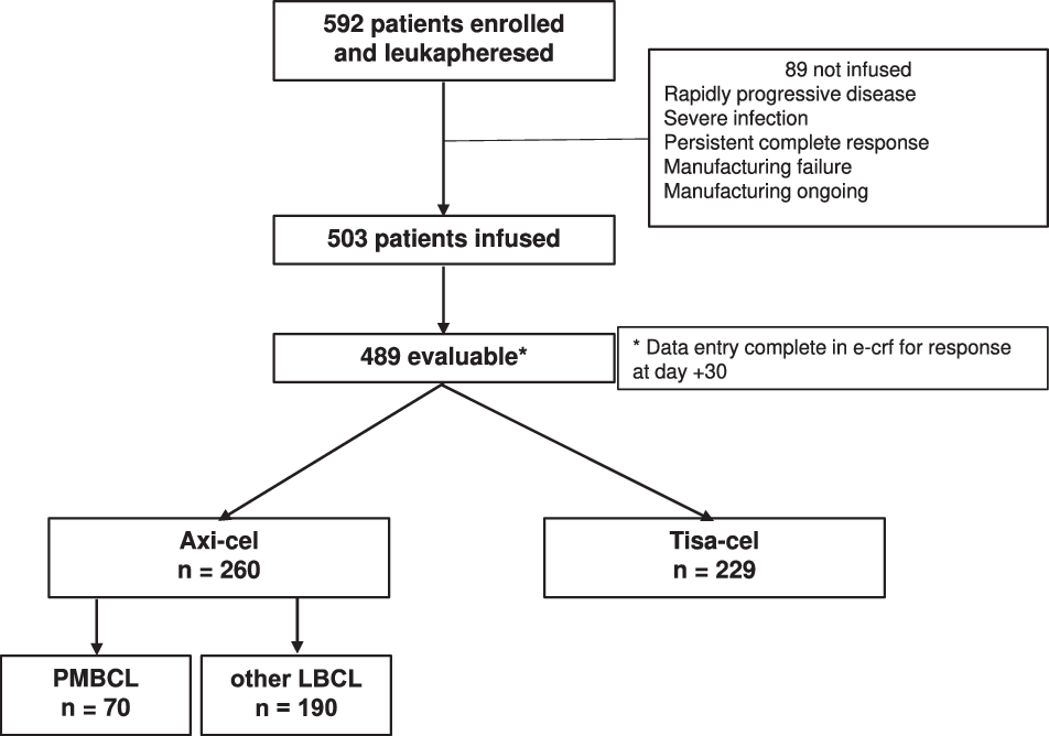 Fig. 1: Patient flow: March 2019–July 2023.