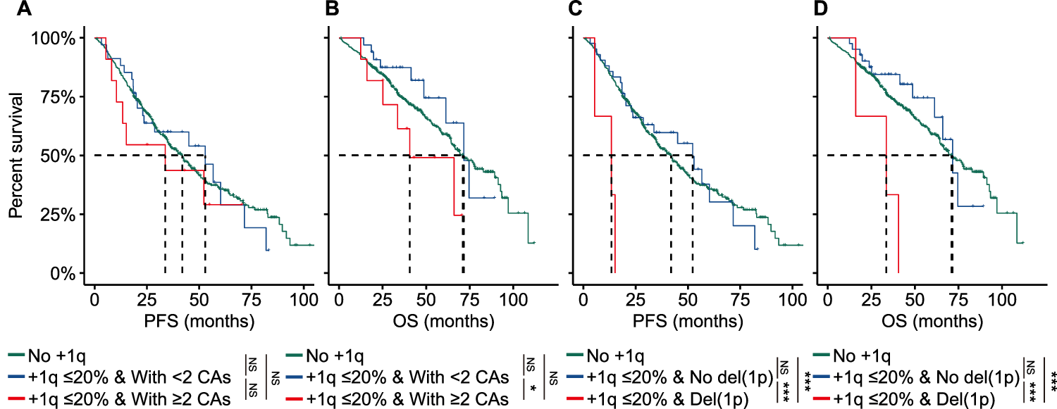 Fig. 3: Concomitant del(1p) and minor clone of gain/amp(1q) are associated with a poor clinical outcome in MM.
