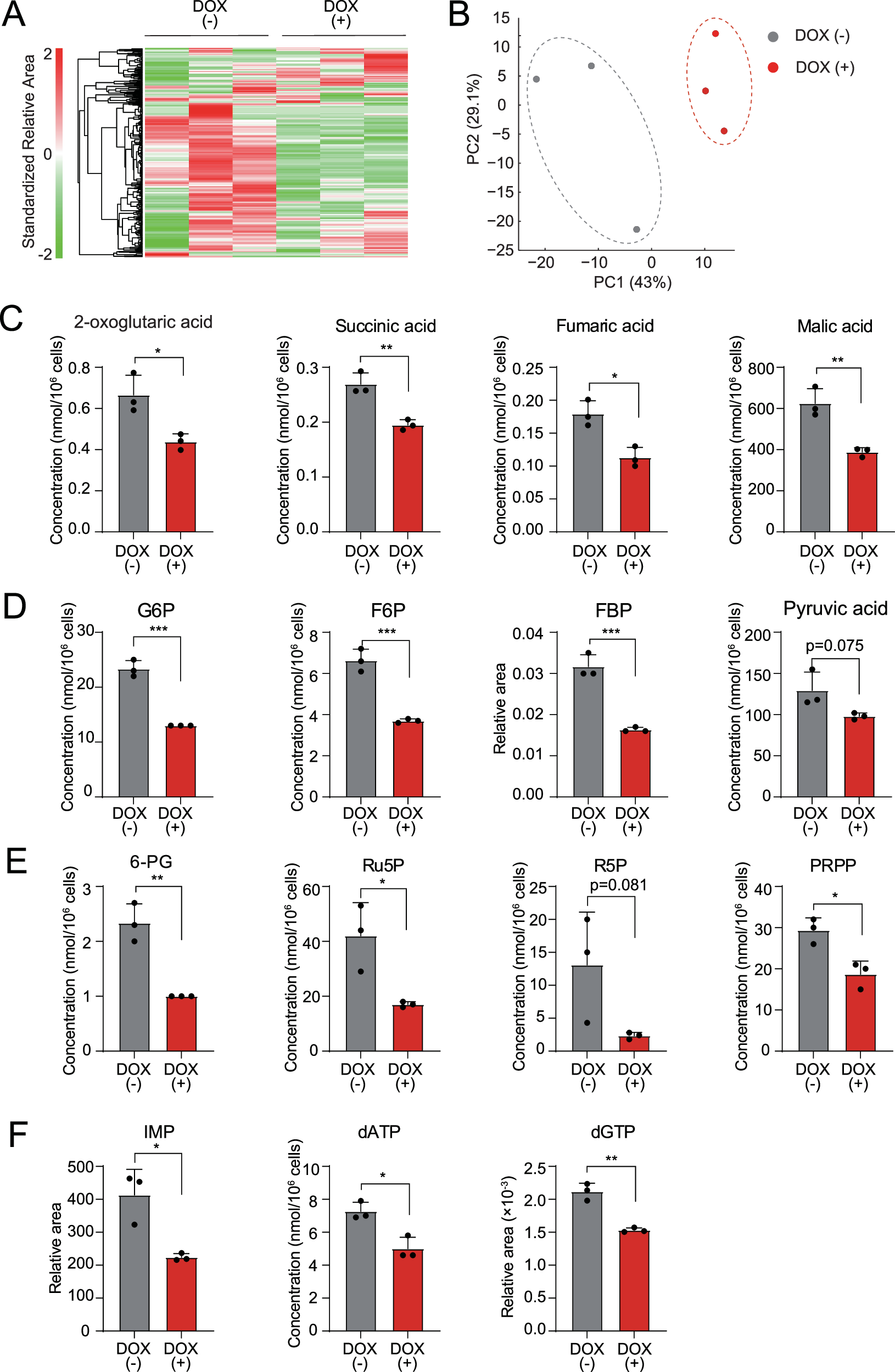 Fig. 4: TRAF6 loss in leukemia leads to dynamic alteration of metabolic profile.