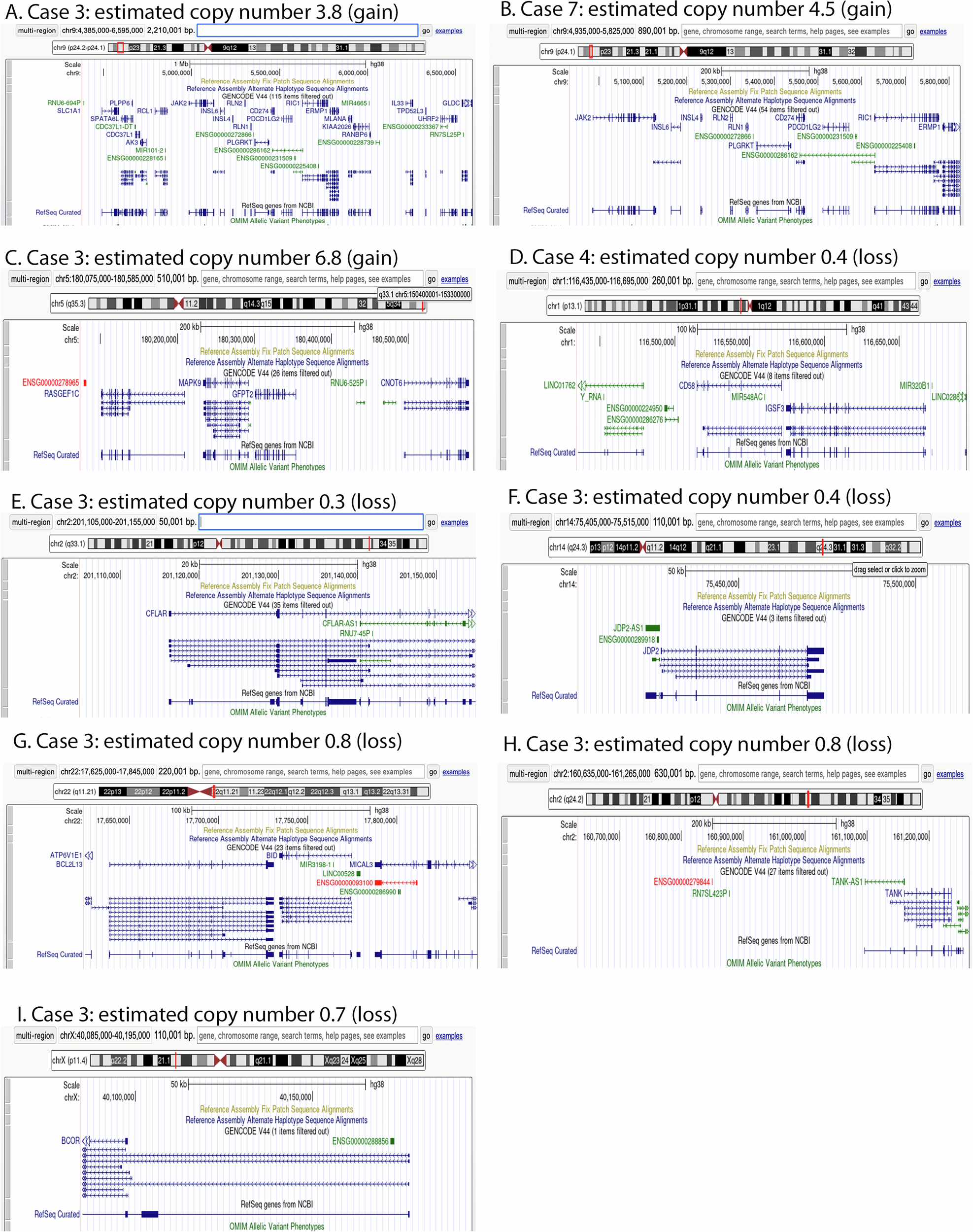 Fig. 3: Copy number aberrations of limited size covering individual or few genes in individual cases.
