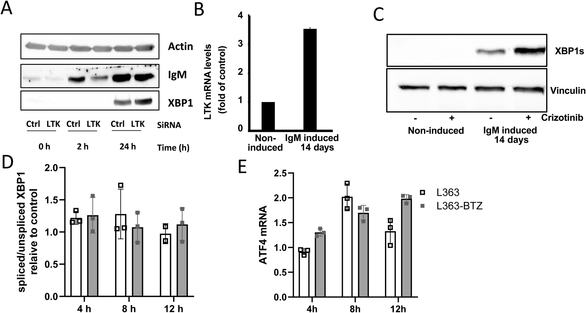 Fig. 2: LTK allows cells to cope with high secretory load.