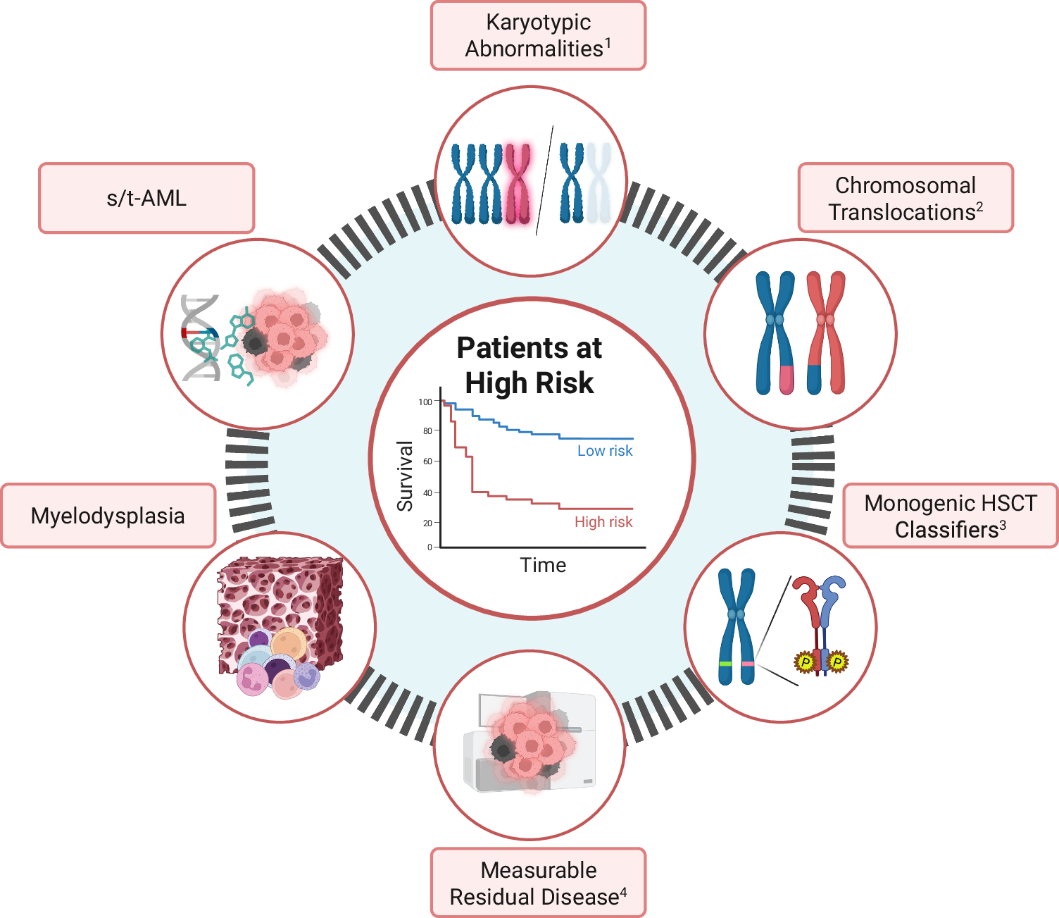Fig. 2: Factors indicating eligibility for HSCT in newly diagnosed pediatric AML.