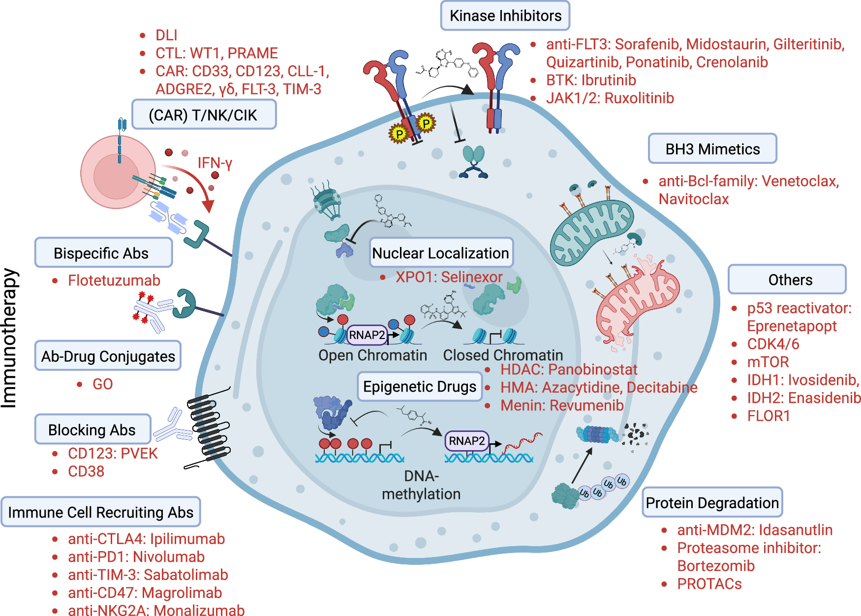 Fig. 4: Overview of treatment targets currently available or under development in acute myeloid leukemia.