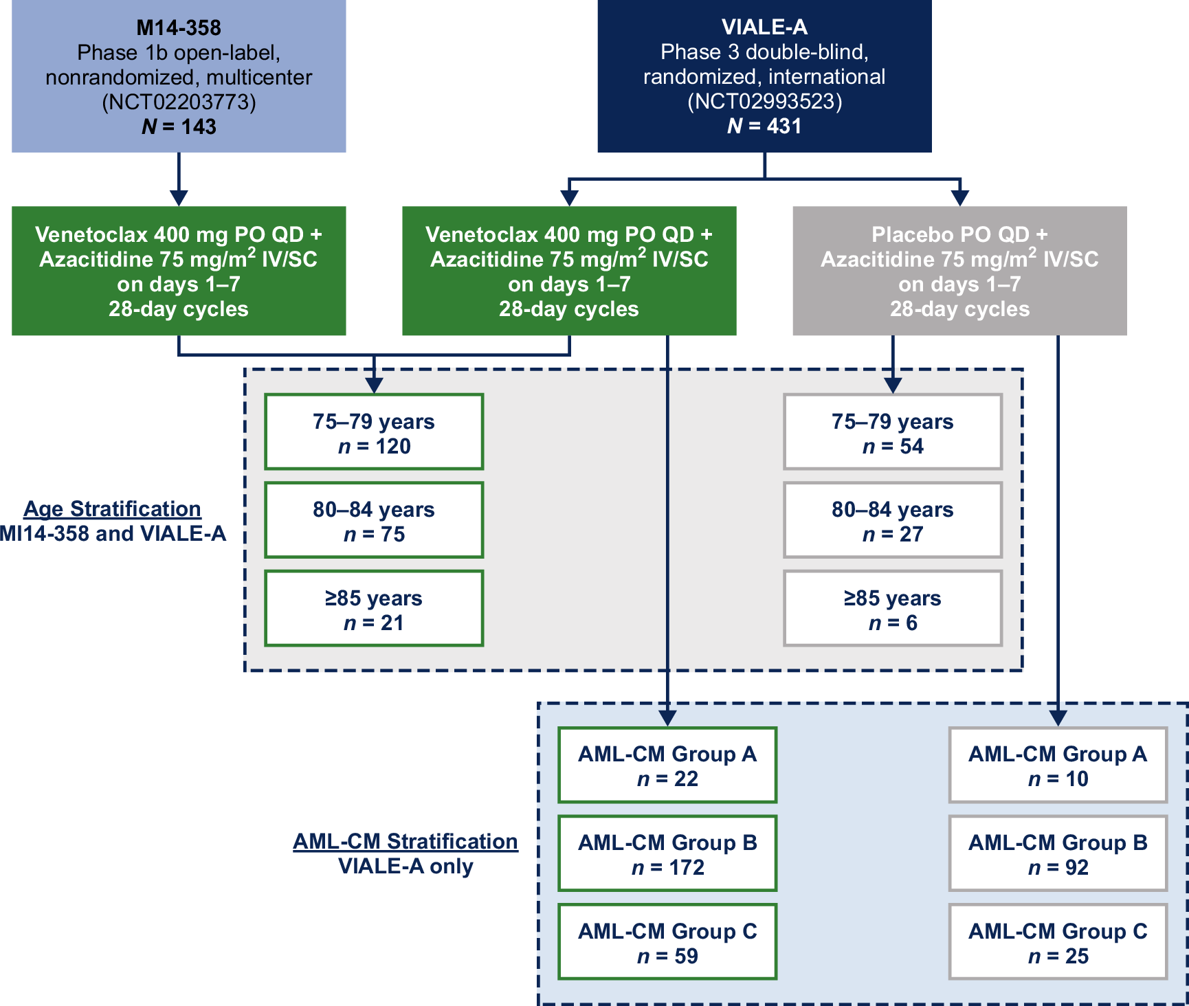 Shortened Venetoclax Regimens Fail to Match Standard AML Treatment