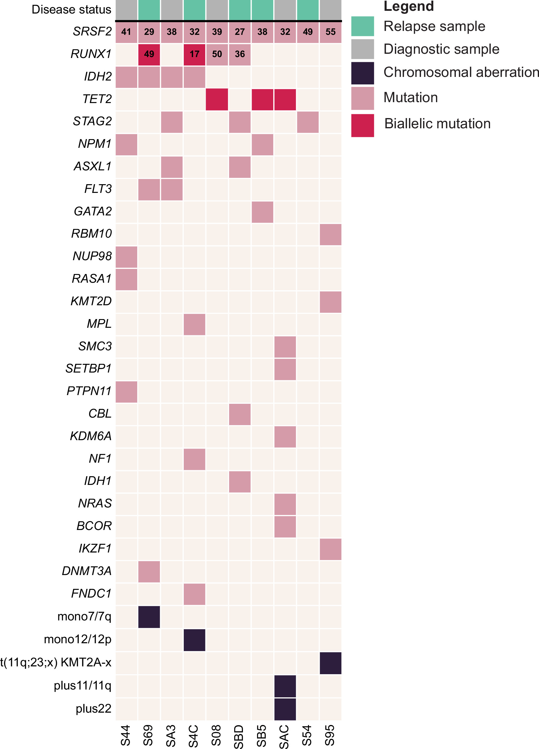 Sensitivity to ATR–CHK1 pathway inhibition in MDS/AML is enhanced by SRSF2 mutations and reduced by RUNX1 loss